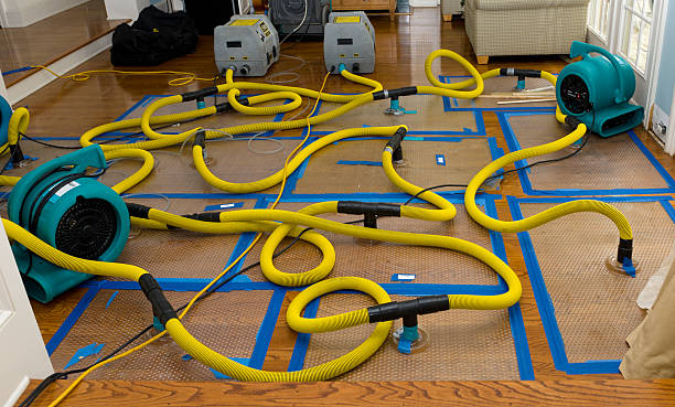 Professional Flood Damage Restoration technician working in West Harwich, MA